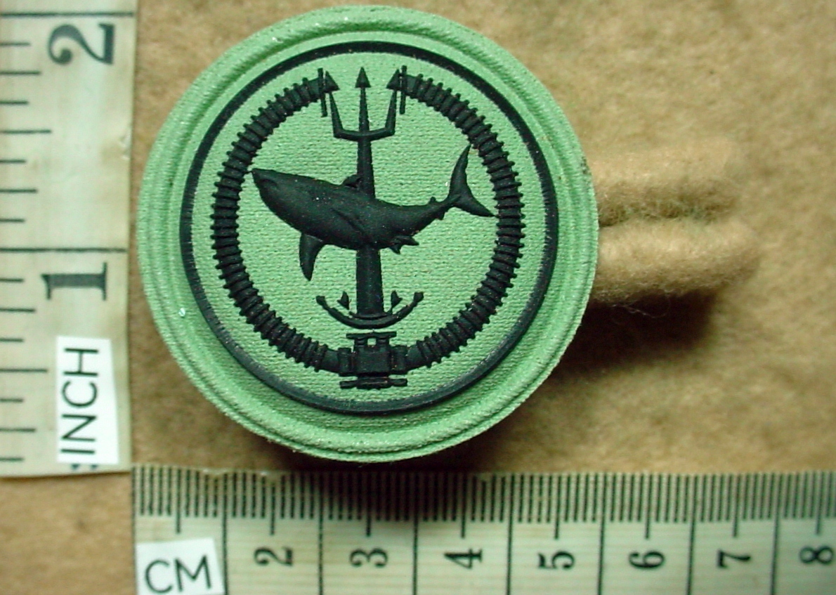 10667-1 Special Forces Attack Diver Instructor award, S2000 camo dress (Recce Diver) (DW1 52 26)