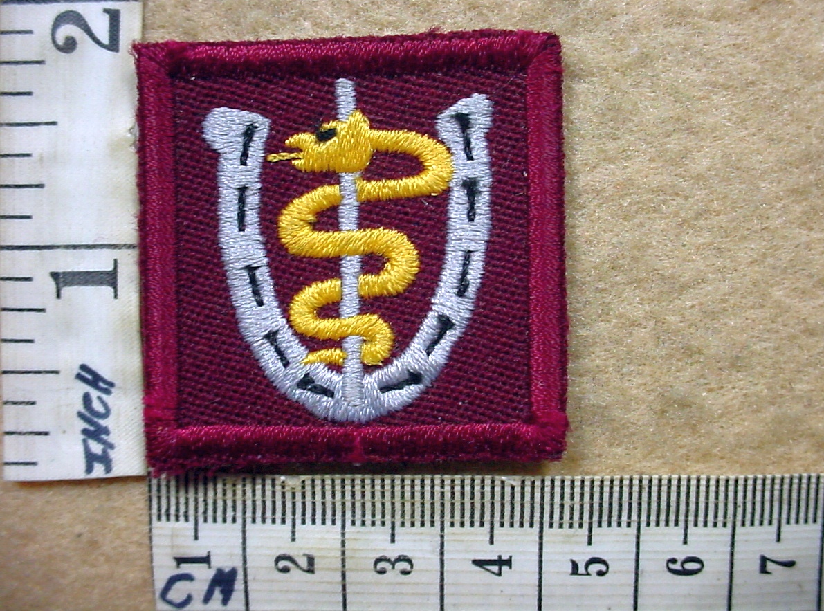 6315-3 South African Medical Corps Farrier badge (DW1 72 33)