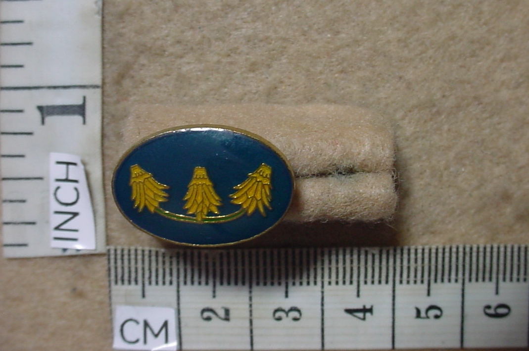 8907-1 Far North Command Workshop beret badge button (AD489)