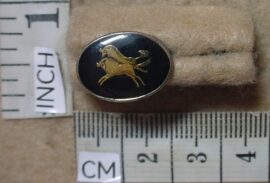 8907-2 Eastern Transvaal Command Workshop beret badge button (AD489)