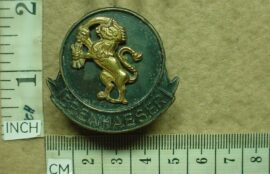 757-1 9 South African Infantry cap badge (AD68)