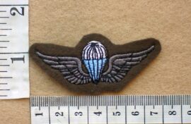 2229 South West Africa Paratrooper Jump Instructor wings (C841)