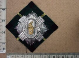 166 Cape Town Highlanders Balmoral cap badge (CO220)