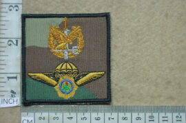 6247-1 South African Police Special Service Task Force Operator badge and parachute wings combo (C364)