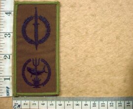 9061-6 Reconnaissance Regiment Operator-Combat Swimmer badge (DW1 52 25)