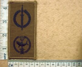 9061-5 Reconnaissance Regiment Operator-Combat Swimmer badge (DW1 52 25)