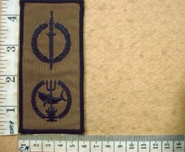 9061-7 Reconnaissance Regiment Operator-Combat Swimmer badge (DW1 52 25)