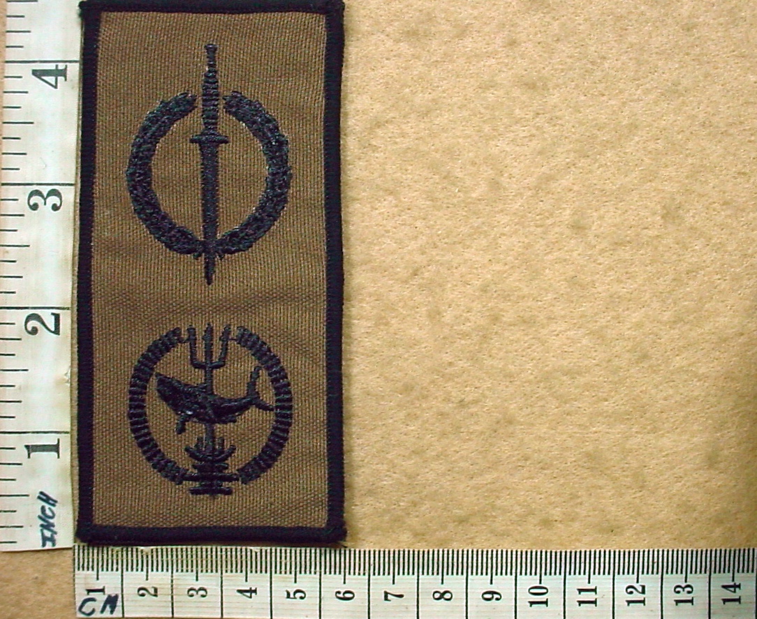9061-7 Reconnaissance Regiment Operator-Combat Swimmer badge (DW1 52 25)