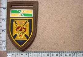 5895-1 7 South African Infantry arm flash, Group 13 Headquarters balkie (F1153)