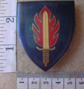 8388-1 11 Commando Intelligence School arm flash (F804)