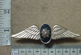 2082-2 South African Special Forces unofficial blazer wings (C301)