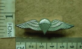 8910-3 South African Army parachute wings, Advanced (C302)