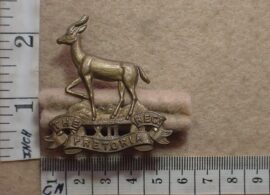 255-1 Pretoria Regiment cap badge (CO672)