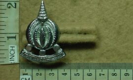 272-1 South African Financial Service Corps cap badge (CO701)