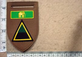 5414-1 South African Infantry A Company arm flash, Eastern Province Command balkie (DW1 7 11)