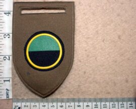 5391-1 South African Infantry C Company arm flash (DW1 7 13)