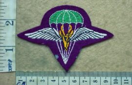 2096-3 South African 1 Parachute Battalion beret badge, 2nd pattern (C319)