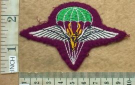 2096-1 South African 1 Parachute Battalion beret badge, 2nd pattern (C319)