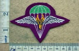 2096-2 South African 1 Parachute Battalion beret badge, 2nd pattern (C319)