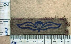 2100-1 South African Army Parachute wings, combat dress, 1st pattern (C333)
