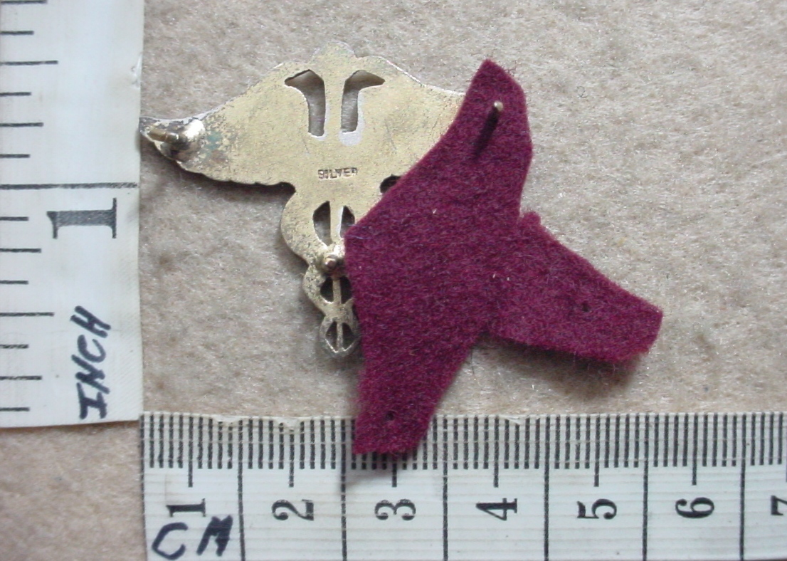 6083-5 South African Medical Corps Doctors badge (CO1582) - Image 2