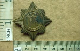 1133-1 South African Police Cape Peninsula Police Reserve cap badge (CO1925)