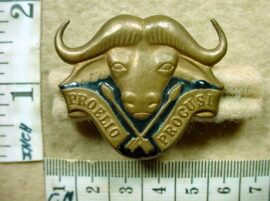 1297-1 32 Battalion cap badge (CO2505)
