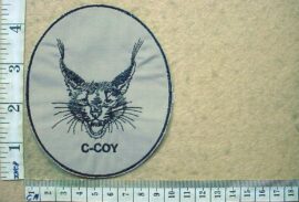 10902-10 3 Parachute Battalion C Company badge (CO3944)