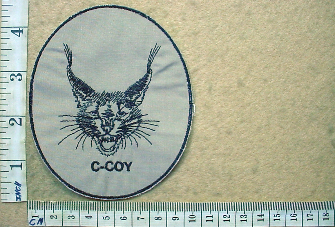 10902-10 3 Parachute Battalion C Company badge (CO3944)