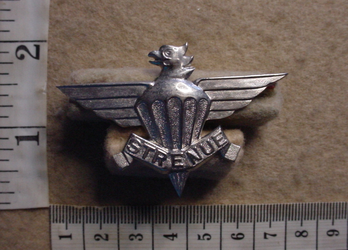 10902-2 South African 3 Parachute Battalion beret badge, 3rd issue (CO3944)