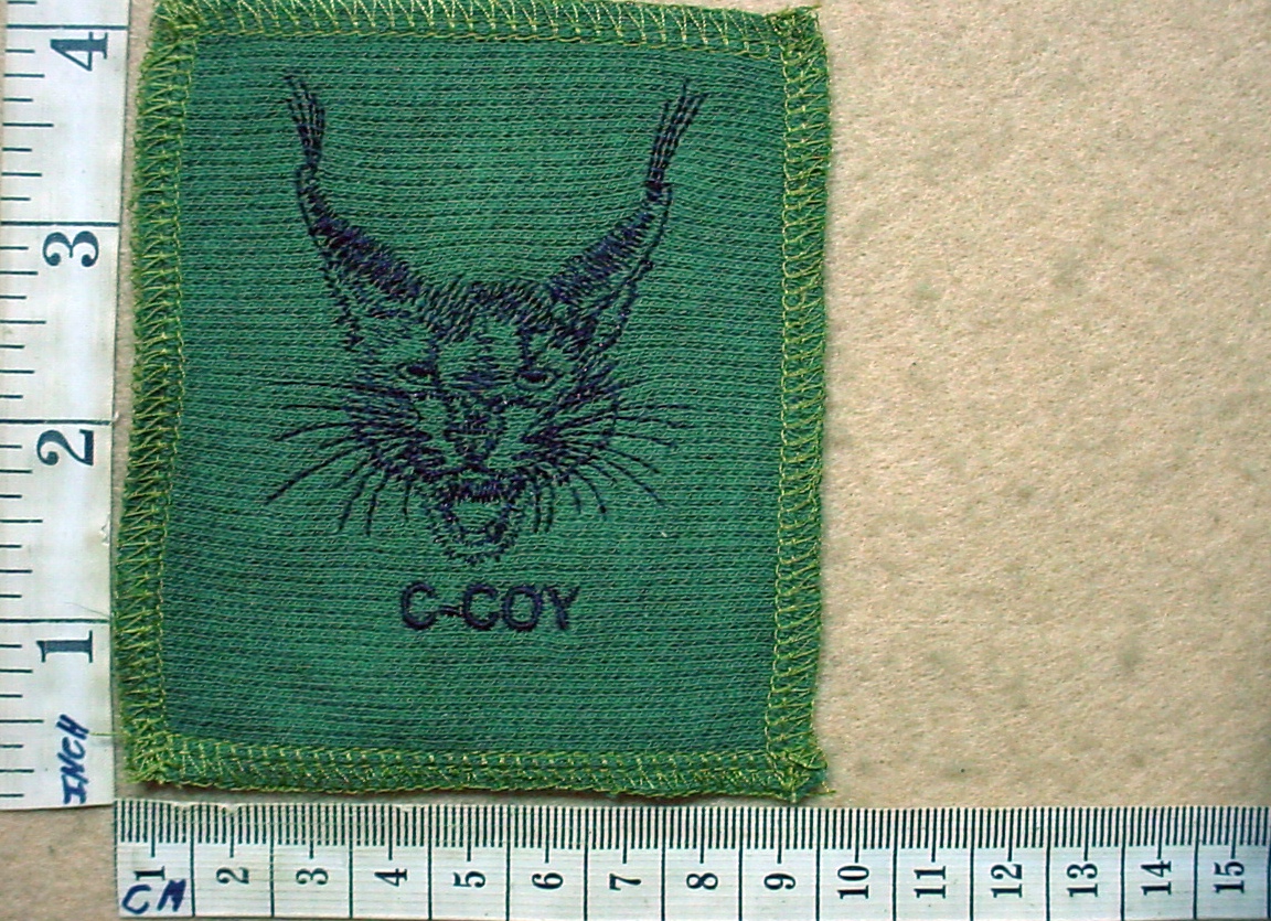 10902-8 3 Parachute Battalion C Company shirt sample badge (CO3942)