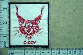 10902-9 3 Parachute Battalion C Company badge (CO3944)