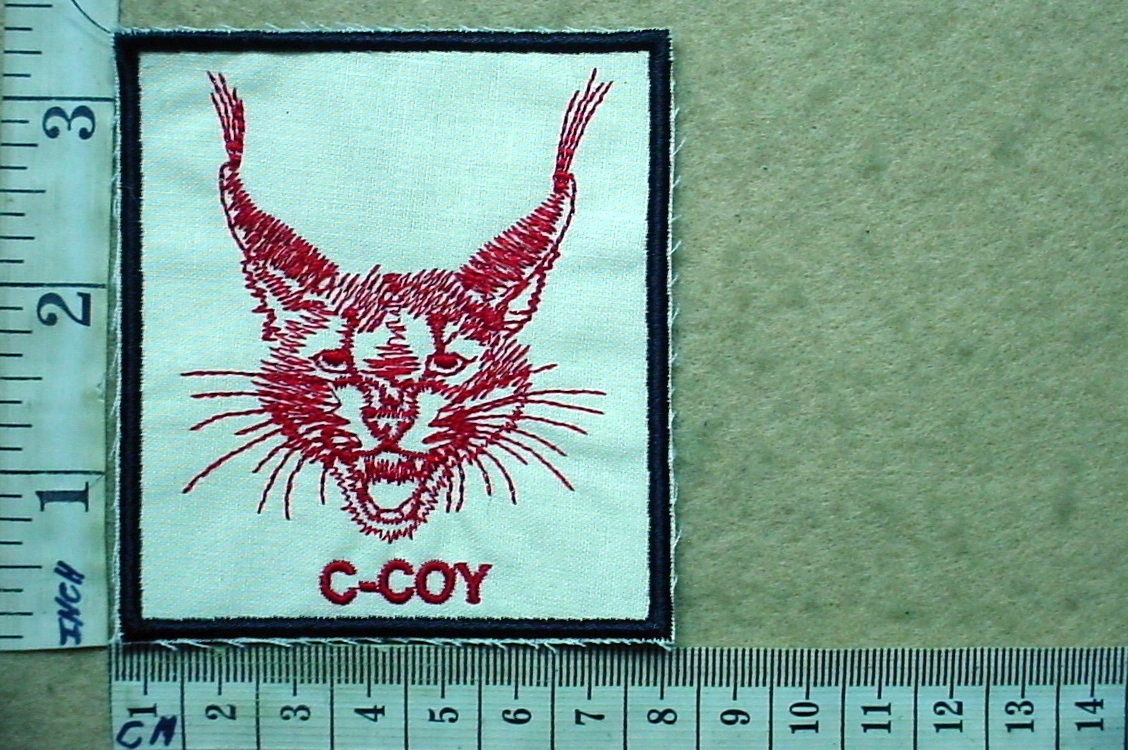 10902-9 3 Parachute Battalion C Company badge (CO3944)