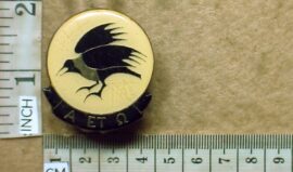 1756-1 South African Army 31 Battalion cap badge (CO3973/AD82)