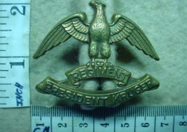 464-2 Regiment President Kruger cap badge (CO948)