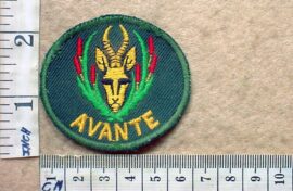 8484-1 5 South African Infantry beret badge (DW1 13 11)