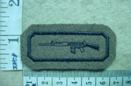 10304-1 South African Army Marksman award (DW1 9 29)
