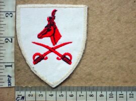 10231-1 South African Army Advanced Physical Training Instructor tracksuit badge (DW1 9 35)