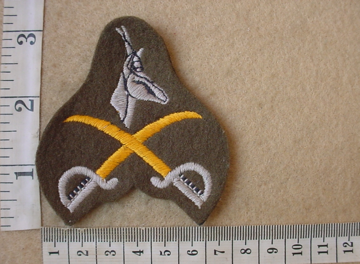 2956-4 South African Army Advanced Physical Training Instructor badge (DW1 9 36)