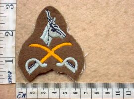2956-5 South African Army Advanced Physical Training Instructor badge (DW1 9 36)