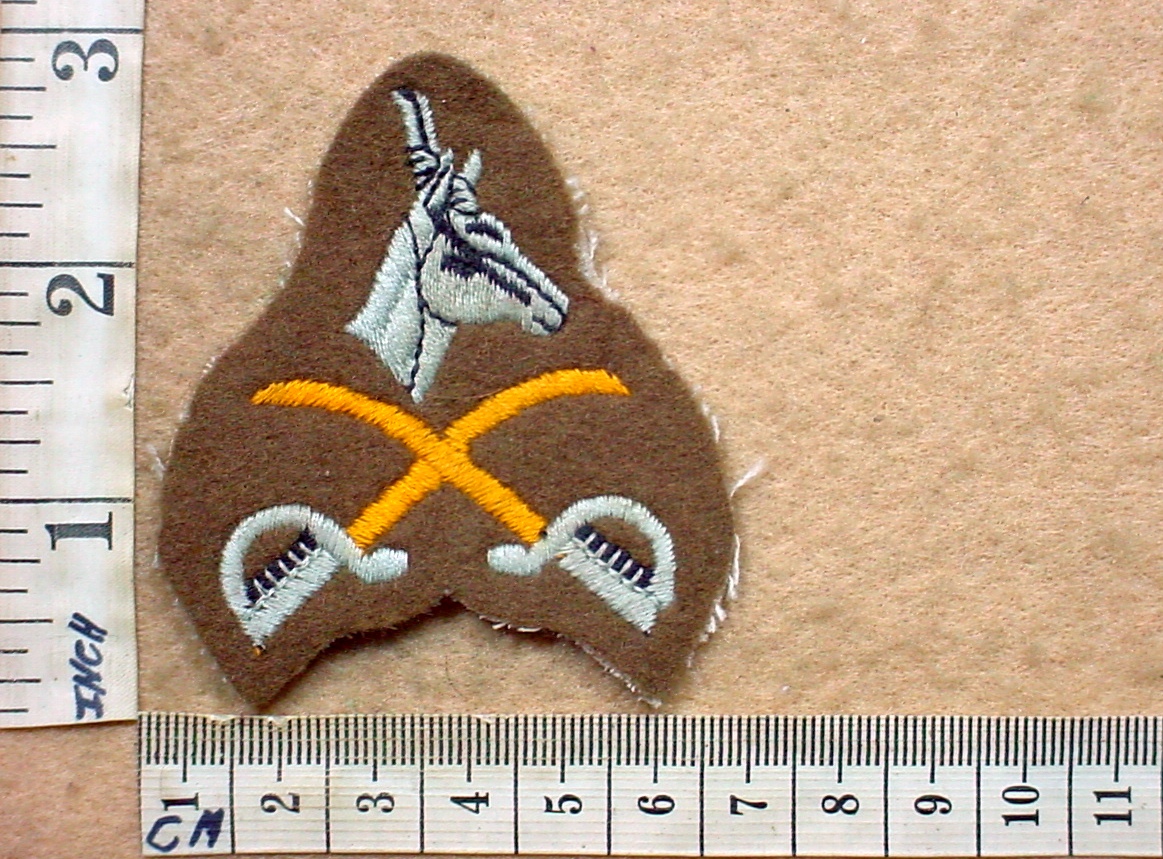 2956-5 South African Army Advanced Physical Training Instructor badge (DW1 9 36)