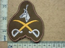 2956-6 South African Army Advanced Physical Training Instructor badge (DW1 9 36)