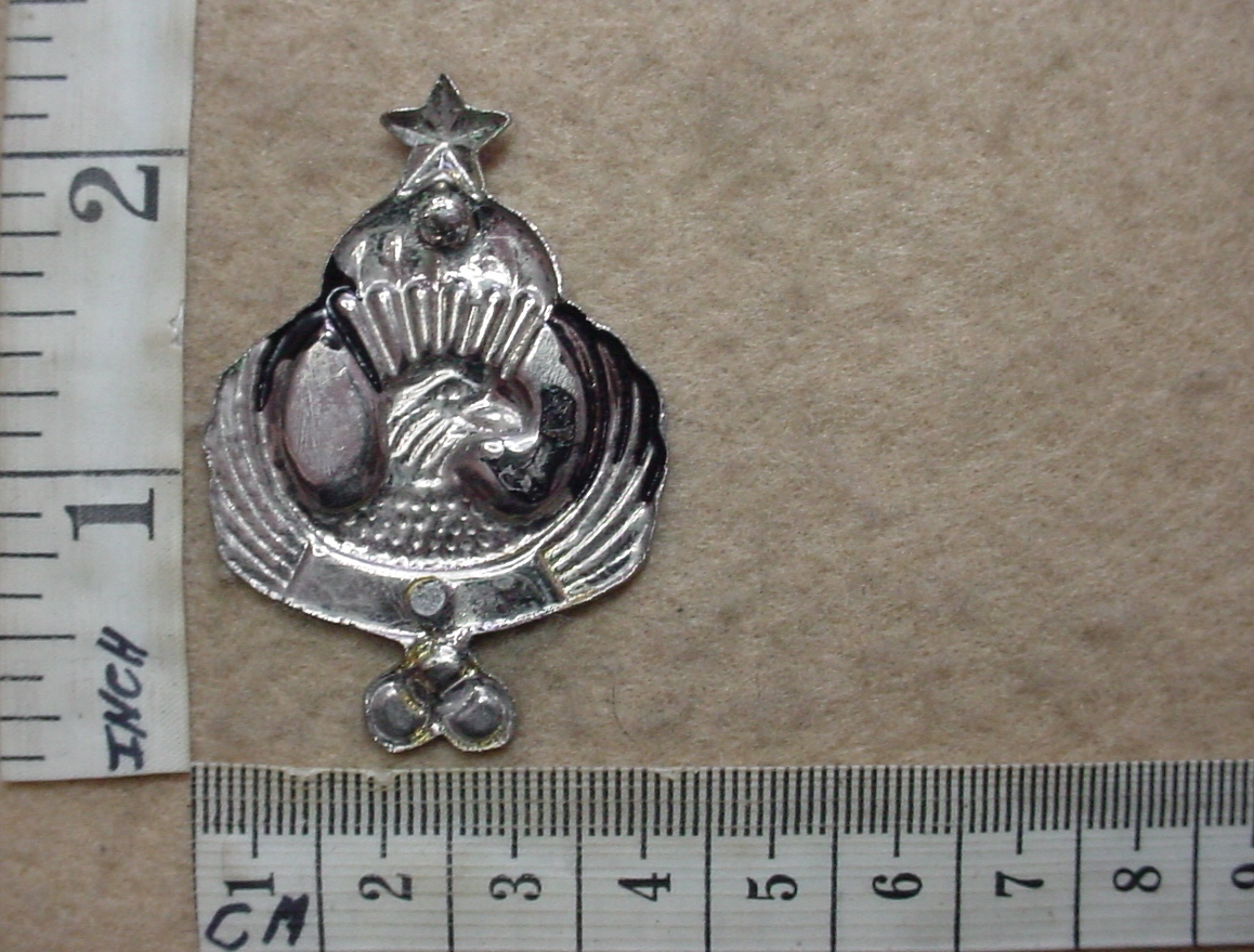 3891-1 Iranian Free Fall Instructor parachute wings (Para Iran) - Image 2