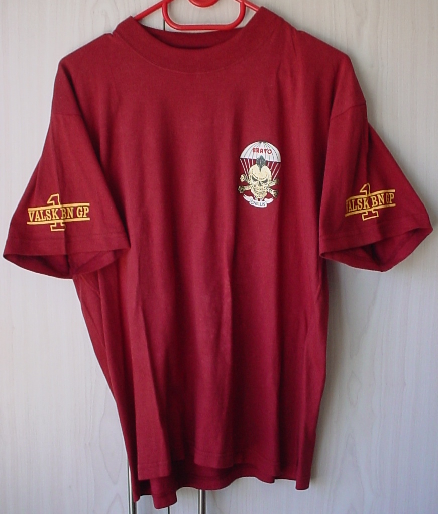 9830-2 1 Parachute Battalion Group Bravo Company T-shirt, Medium