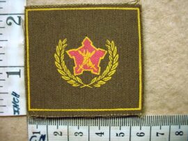 2968-1 South African Army Volunteer Service Award (DW1 29 15)