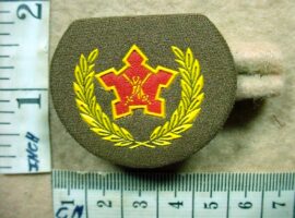 2968-2 South African Army Volunteer Service Award (DW1 29 15)