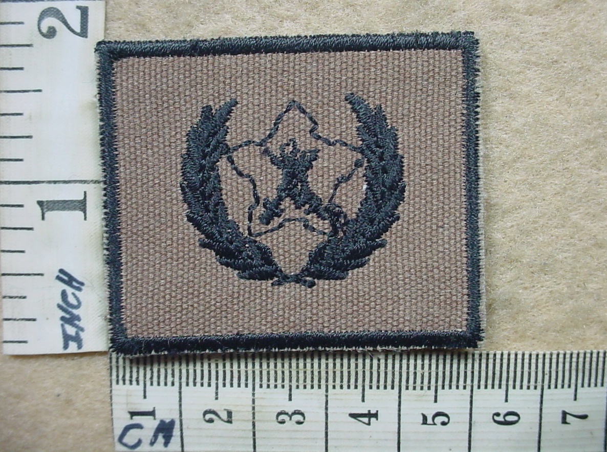 10306-1 South African Army Volunteer Service Award breast badge (DW1 29 17)