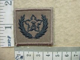 10306-2 South African Army Volunteer Service Award breast badge (DW1 29 17)